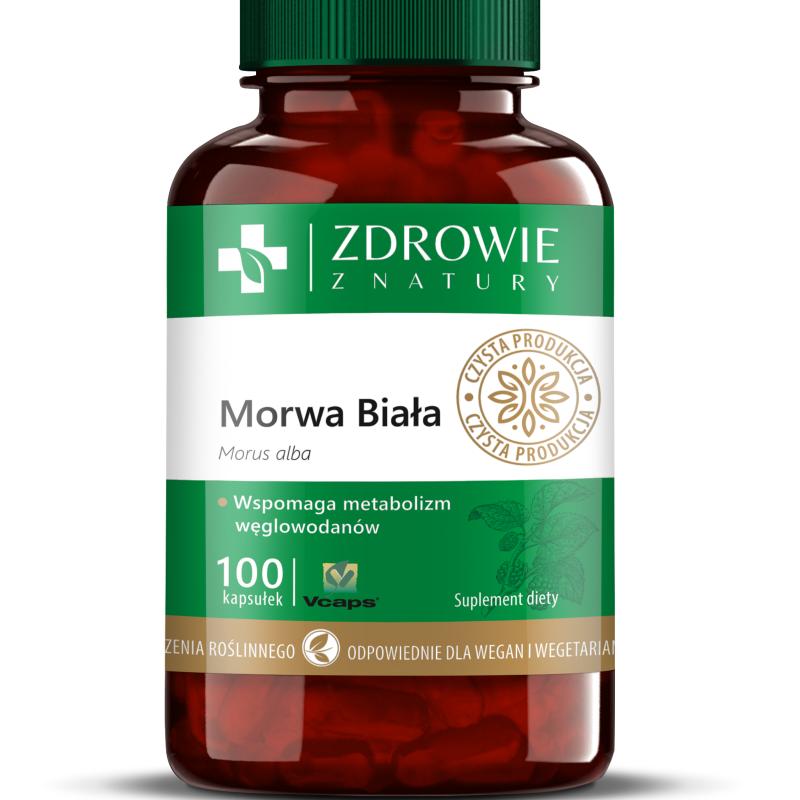 Morwa biała 