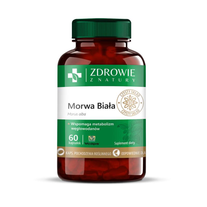 Morwa biała 